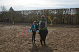 Badyhoeve is een terrein dat tot 3kinderen en hun pony's met de hond Djackson behoort.