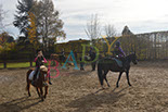 Badyhoeve is een terrein dat tot 3kinderen en hun pony's met de hond Djackson behoort.