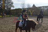 Badyhoeve is een terrein dat tot 3kinderen en hun pony's met de hond Djackson behoort.