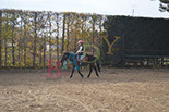 Badyhoeve is een terrein dat tot 3kinderen en hun pony's met de hond Djackson behoort.