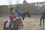 Badyhoeve is een terrein dat tot 3kinderen en hun pony's met de hond Djackson behoort.