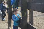 Badyhoeve is een terrein dat tot 3kinderen en hun pony's met de hond Djackson behoort.