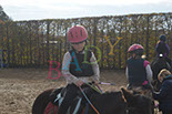 Badyhoeve is een terrein dat tot 3kinderen en hun pony's met de hond Djackson behoort.