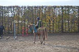 Badyhoeve is een terrein dat tot 3kinderen en hun pony's met de hond Djackson behoort.
