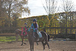 Badyhoeve is een terrein dat tot 3kinderen en hun pony's met de hond Djackson behoort.