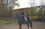 Badyhoeve is een terrein dat tot 3kinderen en hun pony's met de hond Djackson behoort.