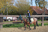 Badyhoeve is een terrein dat tot 3kinderen en hun pony's met de hond Djackson behoort.