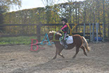 Badyhoeve is een terrein dat tot 3kinderen en hun pony's met de hond Djackson behoort.