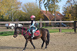 Badyhoeve is een terrein dat tot 3kinderen en hun pony's met de hond Djackson behoort.