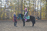 Badyhoeve is een terrein dat tot 3kinderen en hun pony's met de hond Djackson behoort.