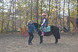 Badyhoeve is een terrein dat tot 3kinderen en hun pony's met de hond Djackson behoort.