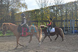 Badyhoeve is een terrein dat tot 3kinderen en hun pony's met de hond Djackson behoort.