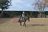 Badyhoeve is een terrein dat tot 3kinderen en hun pony's met de hond Djackson behoort.