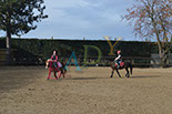 Badyhoeve is een terrein dat tot 3kinderen en hun pony's met de hond Djackson behoort.