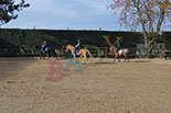 Badyhoeve is een terrein dat tot 3kinderen en hun pony's met de hond Djackson behoort.