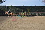 Badyhoeve is een terrein dat tot 3kinderen en hun pony's met de hond Djackson behoort.
