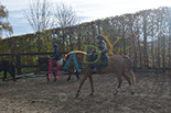 Badyhoeve is een terrein dat tot 3kinderen en hun pony's met de hond Djackson behoort.