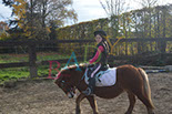 Badyhoeve is een terrein dat tot 3kinderen en hun pony's met de hond Djackson behoort.