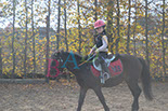 Badyhoeve is een terrein dat tot 3kinderen en hun pony's met de hond Djackson behoort.