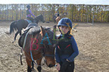 Badyhoeve is een terrein dat tot 3kinderen en hun pony's met de hond Djackson behoort.
