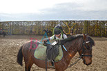 Badyhoeve is een terrein dat tot 3kinderen en hun pony's met de hond Djackson behoort.