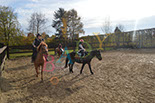 Badyhoeve is een terrein dat tot 3kinderen en hun pony's met de hond Djackson behoort.