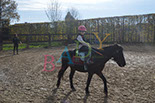 Badyhoeve is een terrein dat tot 3kinderen en hun pony's met de hond Djackson behoort.