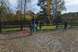 Badyhoeve is een terrein dat tot 3kinderen en hun pony's met de hond Djackson behoort.