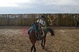 Badyhoeve is een terrein dat tot 3kinderen en hun pony's met de hond Djackson behoort.