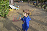 Badyhoeve is een terrein dat tot 3kinderen en hun pony's met de hond Djackson behoort.