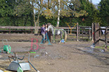 Badyhoeve is een terrein dat tot 3kinderen en hun pony's met de hond Djackson behoort.