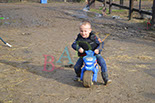 Badyhoeve is een terrein dat tot 3kinderen en hun pony's met de hond Djackson behoort.