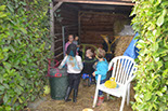 Badyhoeve is een terrein dat tot 3kinderen en hun pony's met de hond Djackson behoort.