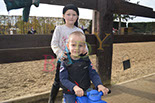 Badyhoeve is een terrein dat tot 3kinderen en hun pony's met de hond Djackson behoort.