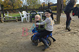 Badyhoeve is een terrein dat tot 3kinderen en hun pony's met de hond Djackson behoort.
