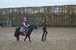 Badyhoeve is een terrein dat tot 3kinderen en hun pony's met de hond Djackson behoort.