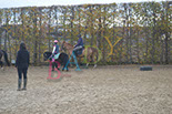 Badyhoeve is een terrein dat tot 3kinderen en hun pony's met de hond Djackson behoort.