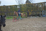 Badyhoeve is een terrein dat tot 3kinderen en hun pony's met de hond Djackson behoort.