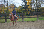 Badyhoeve is een terrein dat tot 3kinderen en hun pony's met de hond Djackson behoort.