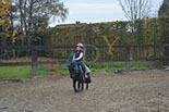 Badyhoeve is een terrein dat tot 3kinderen en hun pony's met de hond Djackson behoort.