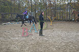 Badyhoeve is een terrein dat tot 3kinderen en hun pony's met de hond Djackson behoort.