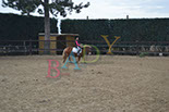 Badyhoeve is een terrein dat tot 3kinderen en hun pony's met de hond Djackson behoort.