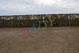 Badyhoeve is een terrein dat tot 3kinderen en hun pony's met de hond Djackson behoort.