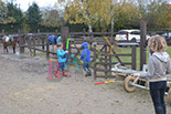 Badyhoeve is een terrein dat tot 3kinderen en hun pony's met de hond Djackson behoort.