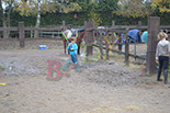 Badyhoeve is een terrein dat tot 3kinderen en hun pony's met de hond Djackson behoort.