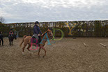 Badyhoeve is een terrein dat tot 3kinderen en hun pony's met de hond Djackson behoort.