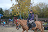 Badyhoeve is een terrein dat tot 3kinderen en hun pony's met de hond Djackson behoort.