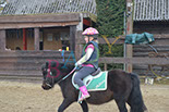 Badyhoeve is een terrein dat tot 3kinderen en hun pony's met de hond Djackson behoort.