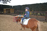Badyhoeve is een terrein dat tot 3kinderen en hun pony's met de hond Djackson behoort.