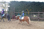 Badyhoeve is een terrein dat tot 3kinderen en hun pony's met de hond Djackson behoort.